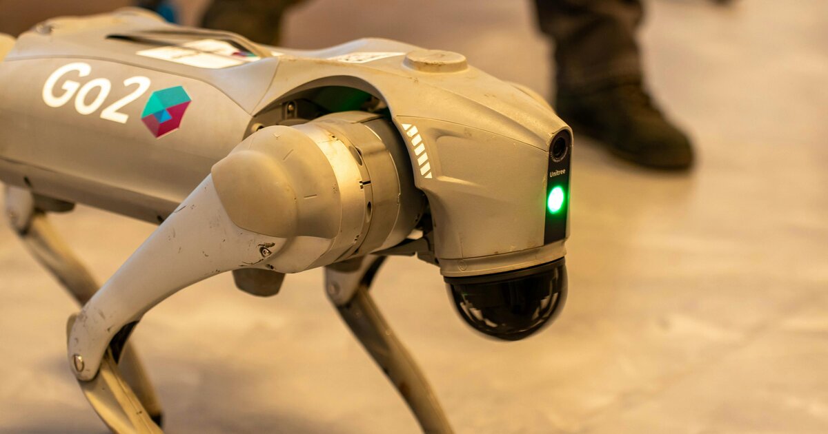 Unitree Go2 robot köpek yakın plan – etkinlik alanında robot kiralama konseptini anlatan kapak görseli
