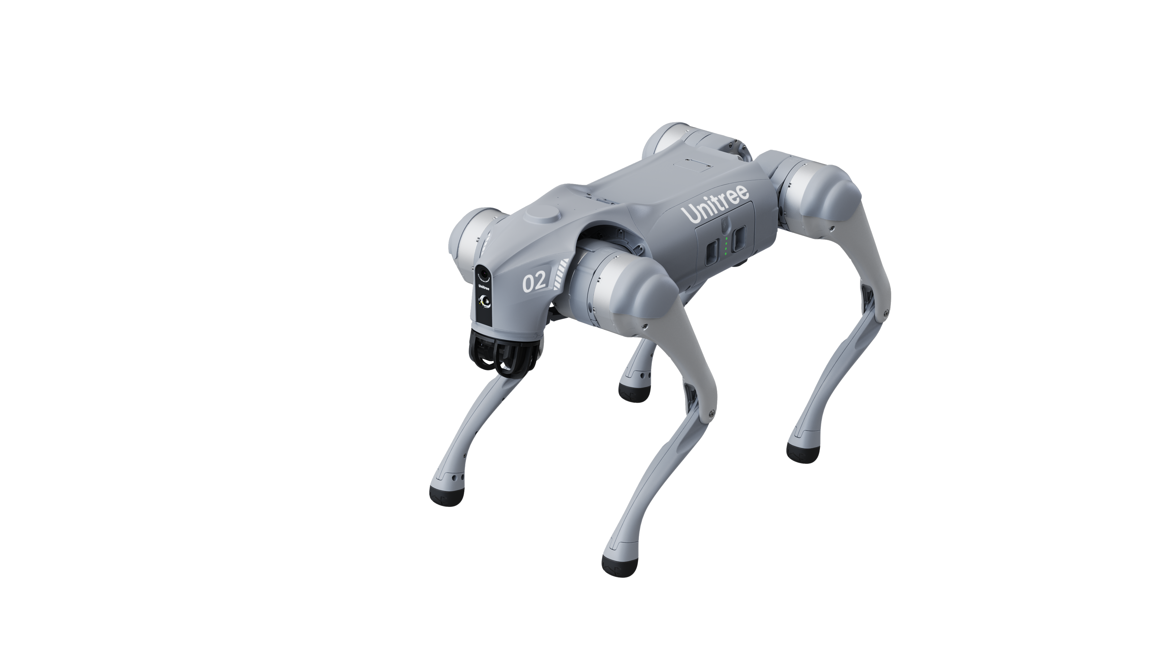 Unitree Go2 Robot Köpek - Logiron Kiralama Hizmeti